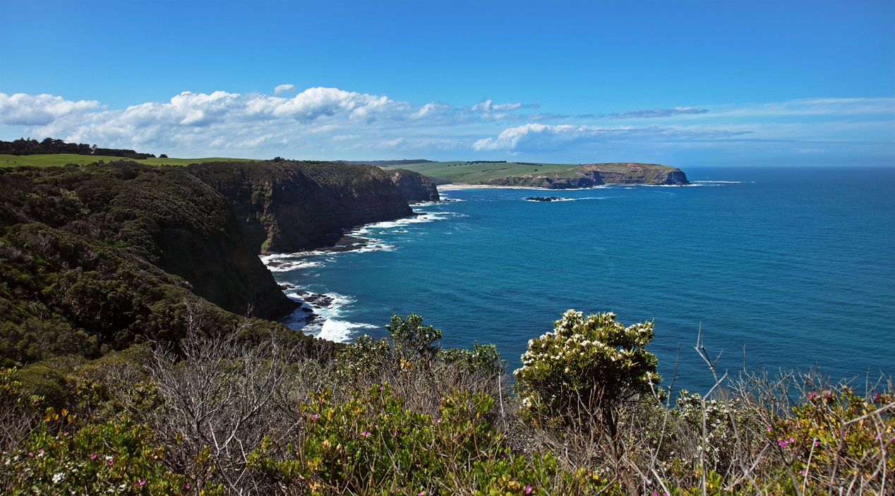 https://upload.wikimedia.org/wikipedia/commons/a/a1/Mornington-peninsula-cape-shank.jpg