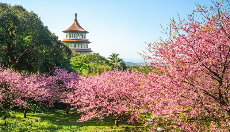 新北淡水无极天元宫 台湾