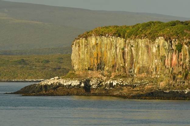 下邊兩圖分別是坎貝爾島和奧克蘭島的兩處絕壁