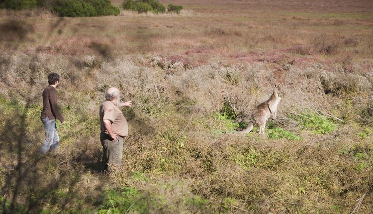 Tower Hill Wildlife Reserve