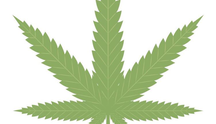 大麻