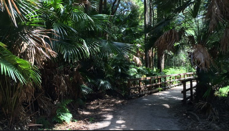 The Narrabeen Lagoon Trail