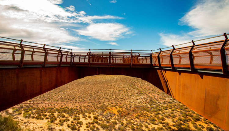 Kalbarri Skywalk