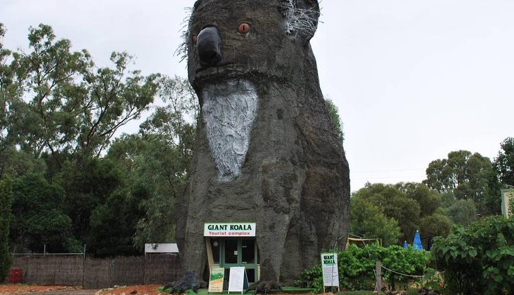 大考拉（The Giant Koala）