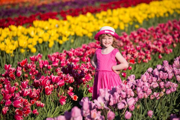 Tesselaar Tulip Festival